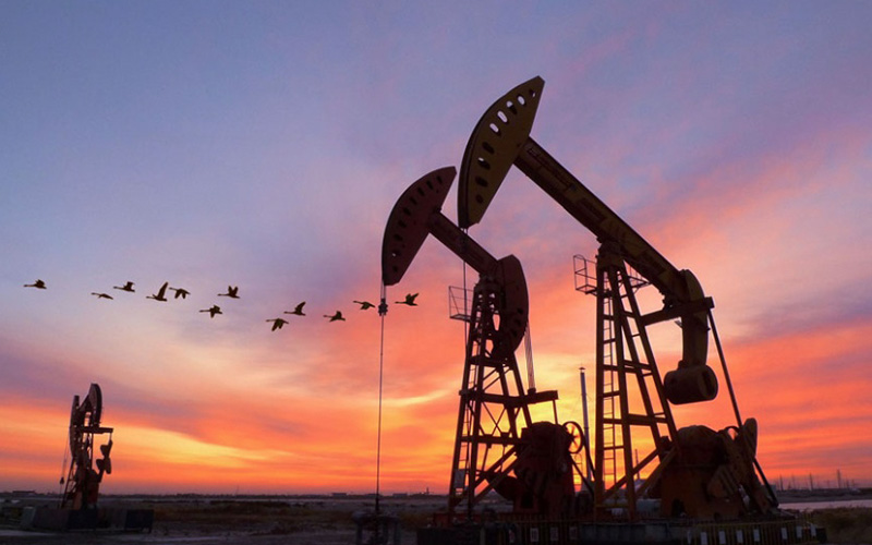 Industrie du pétrole et du gaz